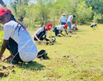 JBOEntete-UnEfantUnArbre_2