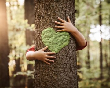 Nature lover, close up of child hands hugging tree with copy space