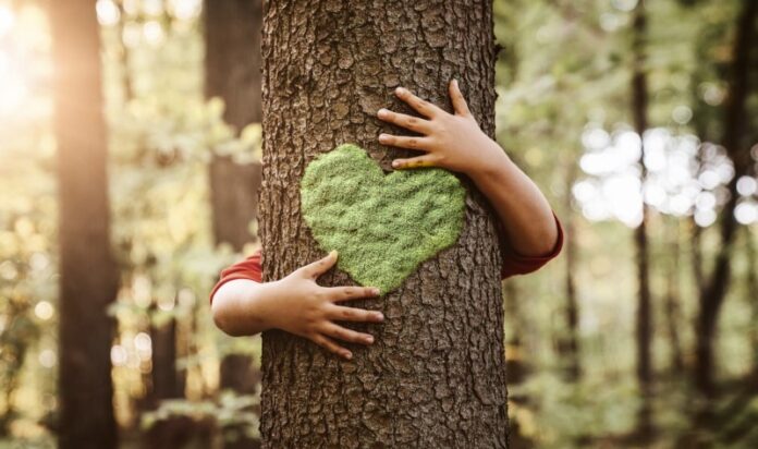Nature lover, close up of child hands hugging tree with copy space